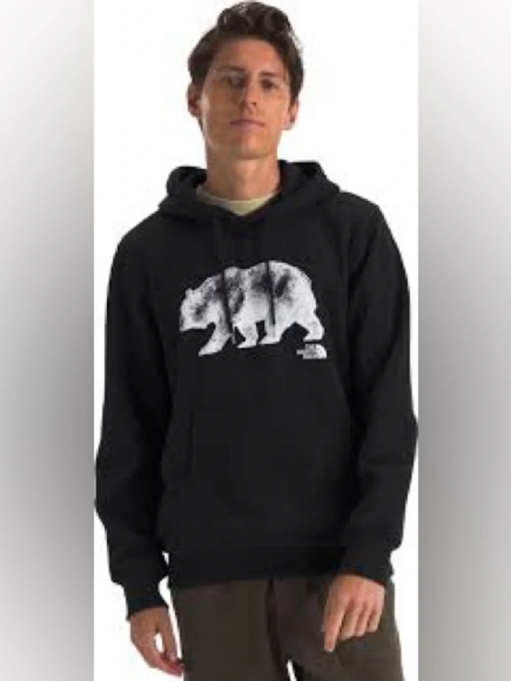 The North Face Men's Bear On The Move Standard-Fit Printed Hoodie | X-Large